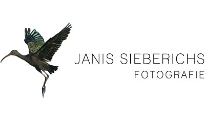 JANIS SIEBERICHS